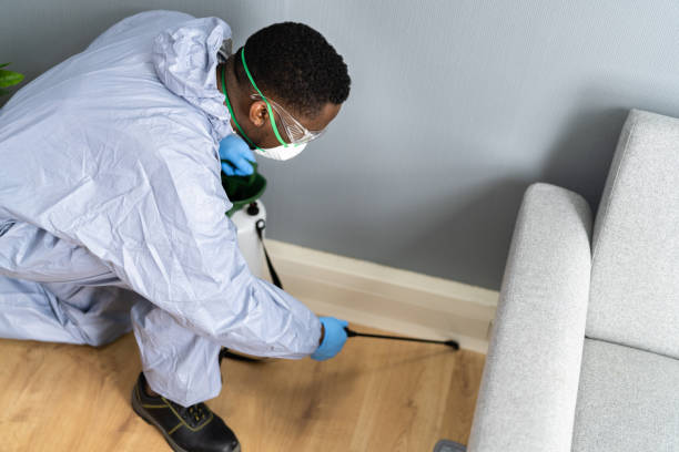 Best Termite Inspection and Treatment  in San Antonio, FL